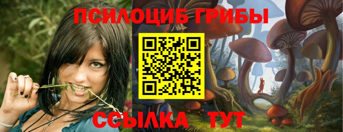 Псилоцибиновые грибы MAGIC MUSHROOMS Тамбов