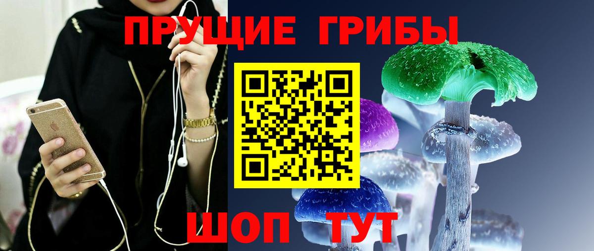Псилоцибиновые грибы MAGIC MUSHROOMS  Вход с VPN  Тамбов 